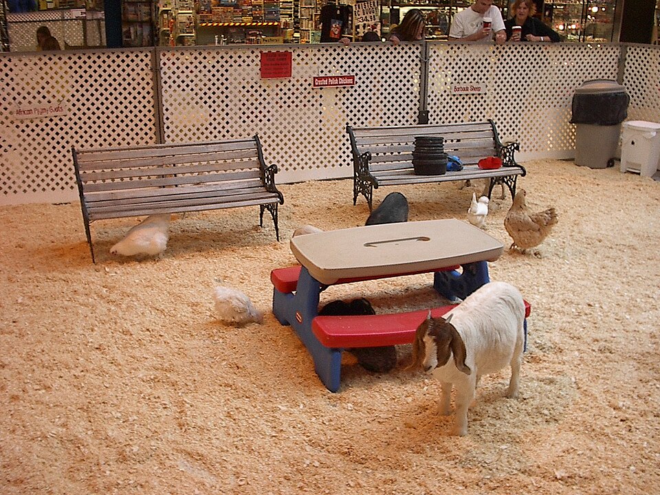 Kinderboerderij de Schouw Zutphen