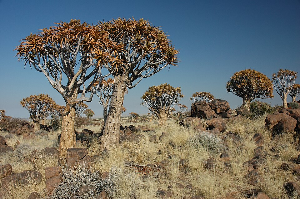Natuurspeeltuin de Tuinpiraat
