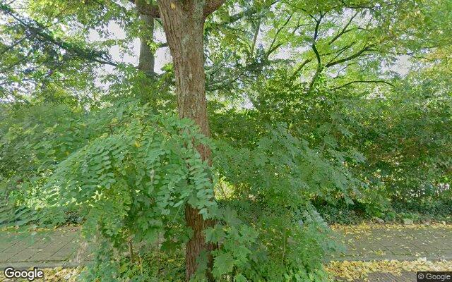 ACACIA