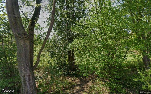 Speeltuin Damastbloem