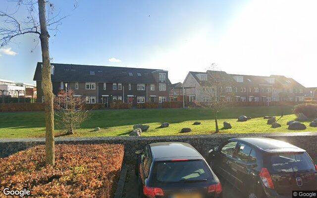 Speeltuin Argusvlinder