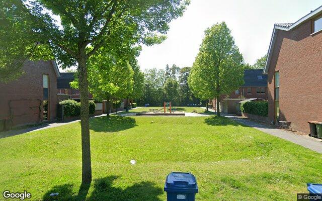 Speeltuin Knoopkruid