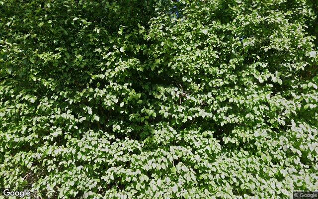Speeltuin Blerickpad