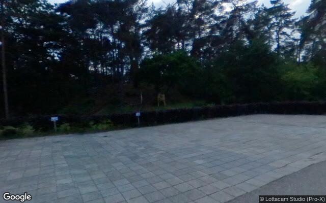 Speeltuin Rijksweg A28
