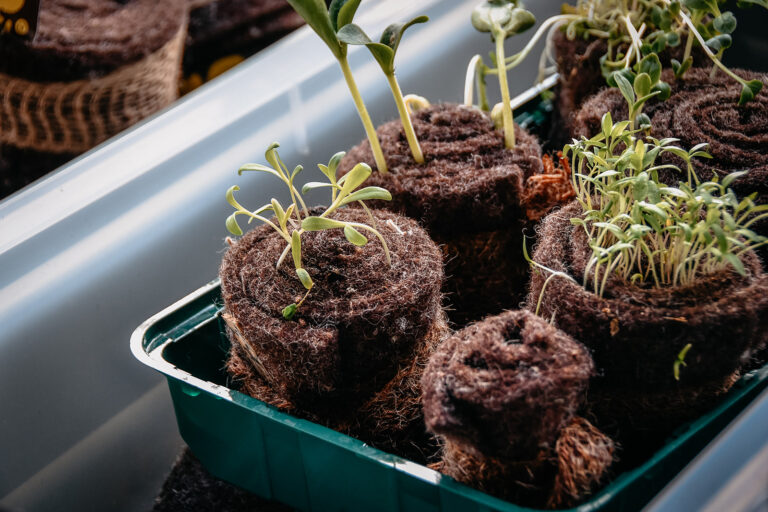 De Moestuinbeurs 2027 — markt-eten in Gelderland