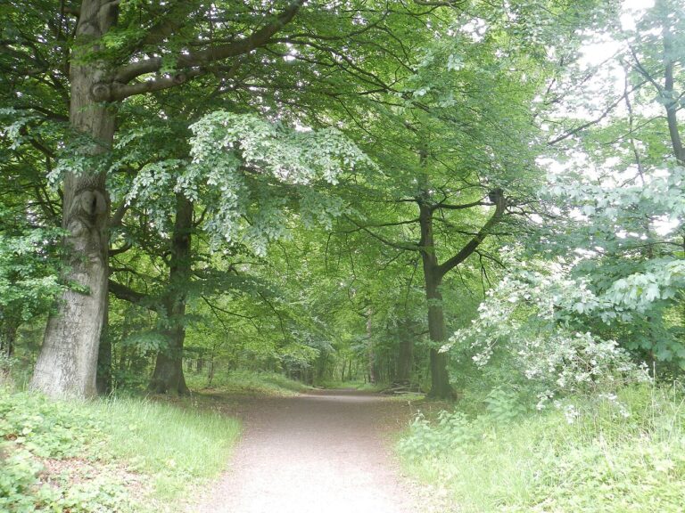 Late Herfstwandeling op Landgoed Staverden — Natuur in Gelderland