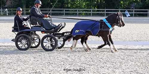 Nationale Welsh Sportdag — sport in Gelderland
