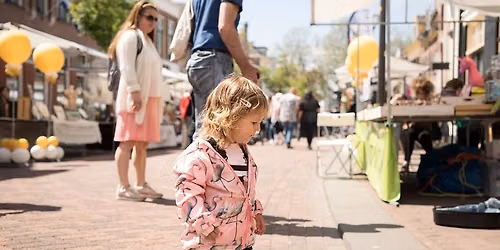 Zeldzaam Mooi event Laarstraat in Zutphen in Gelderland