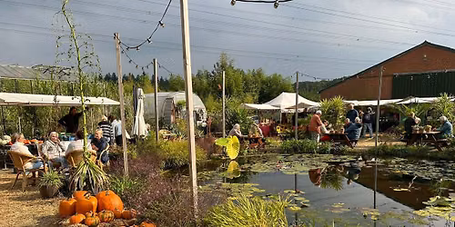 Herfstoogst & Pompoendagen bij Bandus in Hummelo — muziek in Gelderland