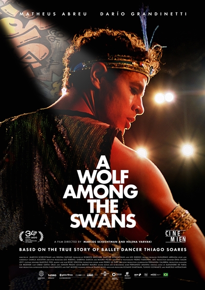 A Wolf Among the Swans in Gelderland