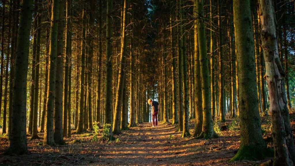 El Mundo Sessions met Mountaineer in Gelderland