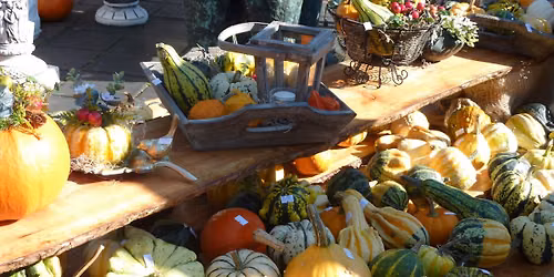 Herfstmarkt Ermelo in Gelderland