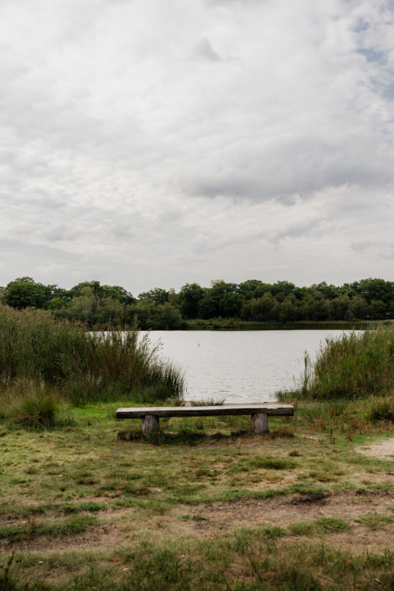 Wandeling Uddelermeer/Hunneschans – Atlas van Apeldoorn — Natuur in Gelderland