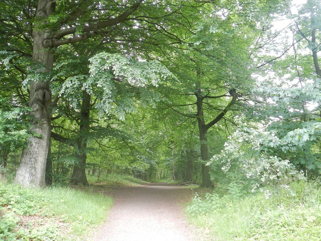 Leeskring Theologie in Gelderland