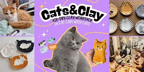 Cats&Clay – clay workshop in cat cafe with cats – Nijmegen — Attracties in Gelderland