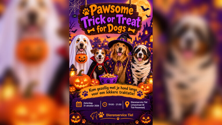 Trick or treat voor honden – Dierenservice Tiel — familie-kids in Gelderland
