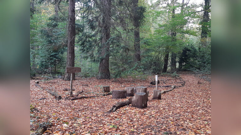 Vijftig tinten herfst in Arboretum Oostereng — Natuur in Gelderland