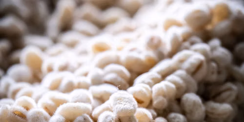 Bouw je eigen Fermentatiekast in één dag in Ede