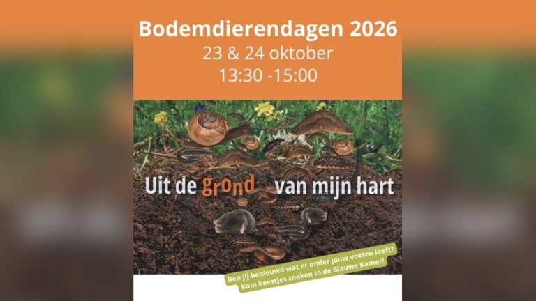 Kom jij ook beestjes zoeken in de blauwe kamer? — Natuur in Gelderland