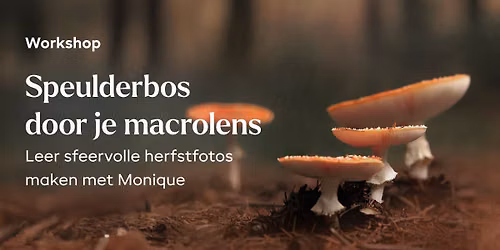 Workshop Macrofotografie Speulderbos – Monique van Genderen — Natuur in Gelderland